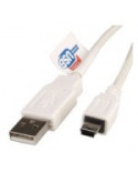 Cable USB mini B