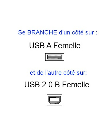 Cable USB B