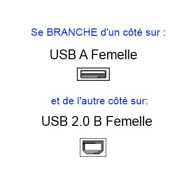 Cable USB B